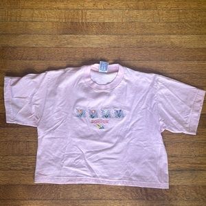 Cute pink Boston crop top